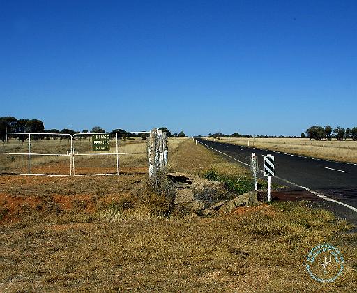 Dingo fence 9P07D-43.JPG
